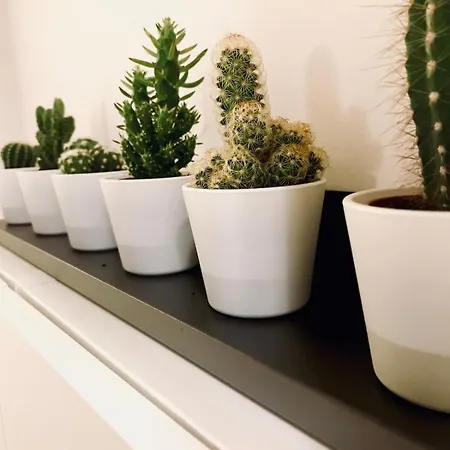 Casa Barbarigo 파도바